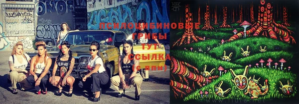 хмурый Абаза