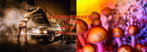 твердый Алексеевка