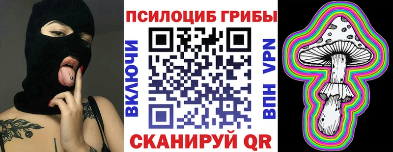 даркнет сайт Ессентукская Галлюциногенные грибы Psilocybine cubensis