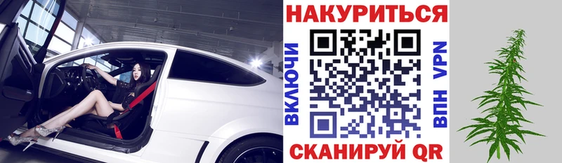 МАРИХУАНА план  где купить   Ессентукская 
